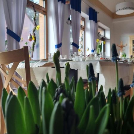 Apartament Zakątek Reja Kartuzy Zewnętrze zdjęcie